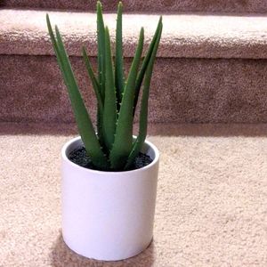 Faux Aloe plant